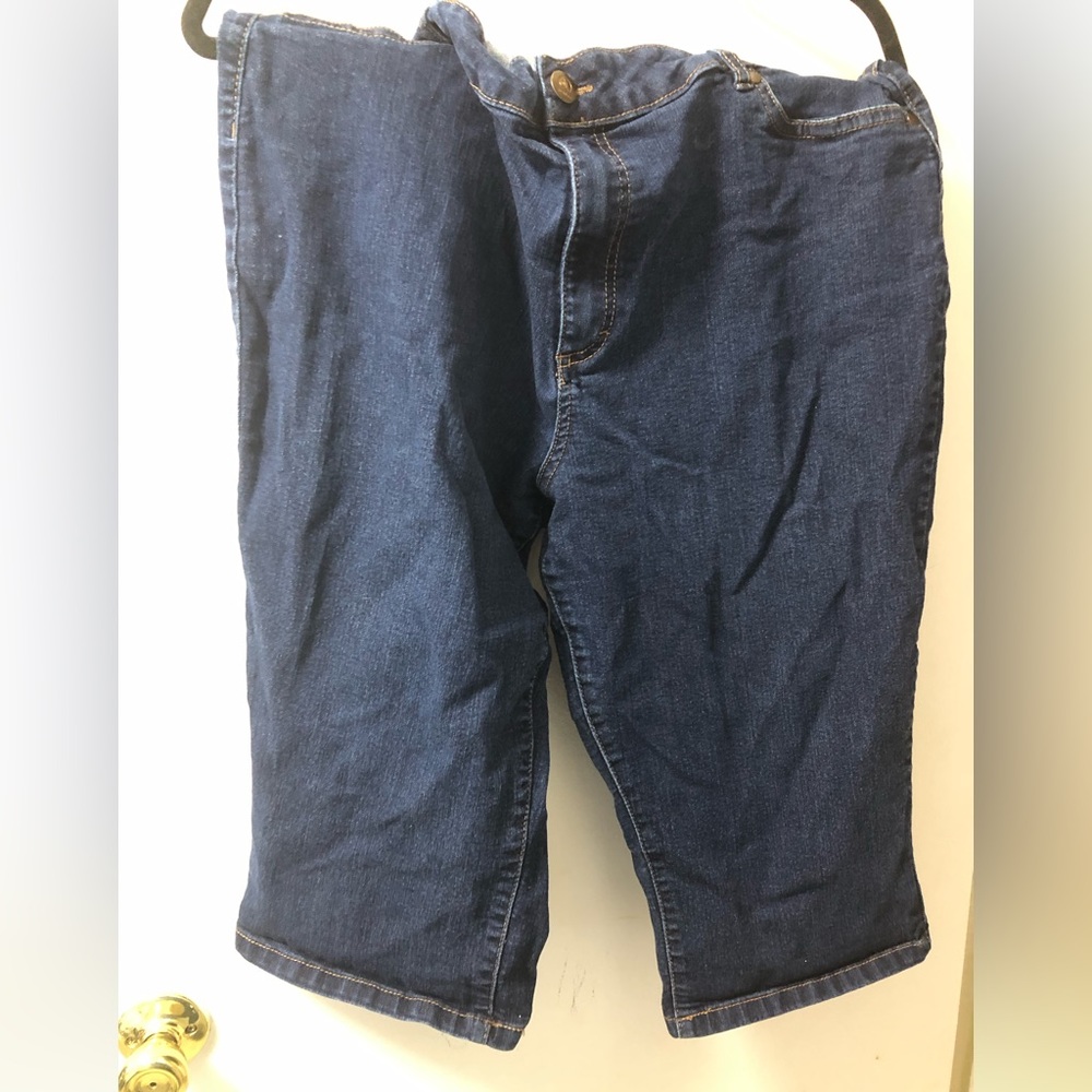 DJ Jeans capri pants. Dark wash. 22.